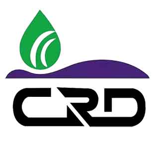 双鸭山行业质量保证-程瑞达喷枪